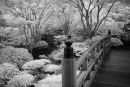 Japanese Gardens #3
